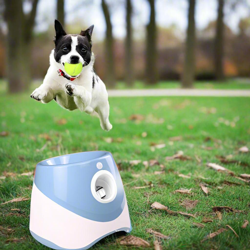 USB Rechargeable Automatic Tennis Ball Launcher for DogsDog ToyBravo Pets