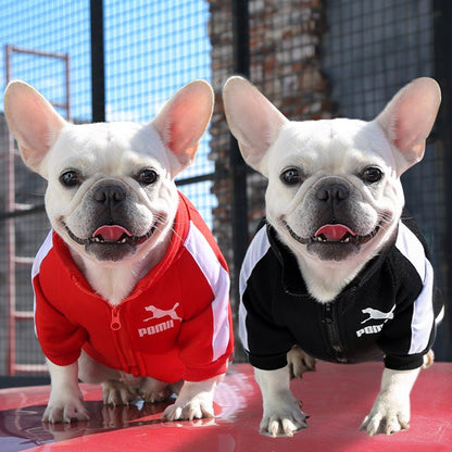 Sporty Dog Sweatshirt – Trendy Zip - Up Puma - Inspired JacketDog ApparelBravo Pets
