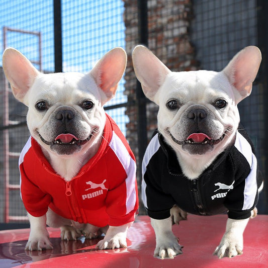 Sporty Dog Sweatshirt – Trendy Zip - Up Puma - Inspired JacketDog ApparelBravo Pets