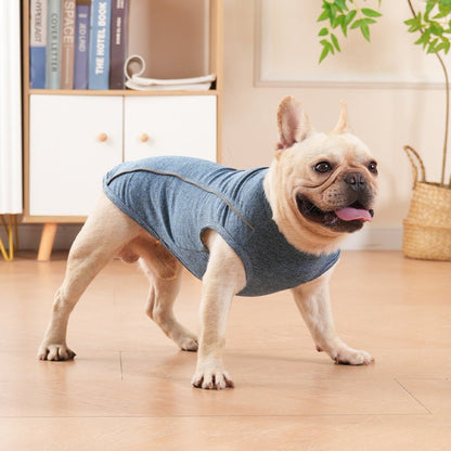 Trendy & Functional Breathable Dog T-Shirt with Reflective Paw Print & Traction BuckleDog ApparelBravo Pets