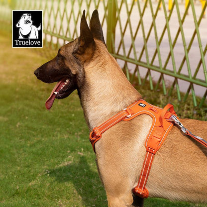 Heavy - Duty No - Pull Dog Harness – Adjustable & Comfortable Control HarnessDog HarnessBravo Pets