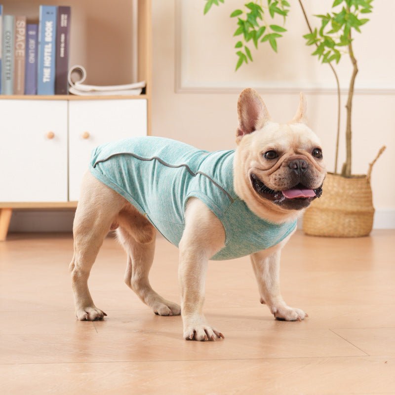 Trendy & Functional Breathable Dog T-Shirt with Reflective Paw Print & Traction BuckleDog ApparelBravo Pets