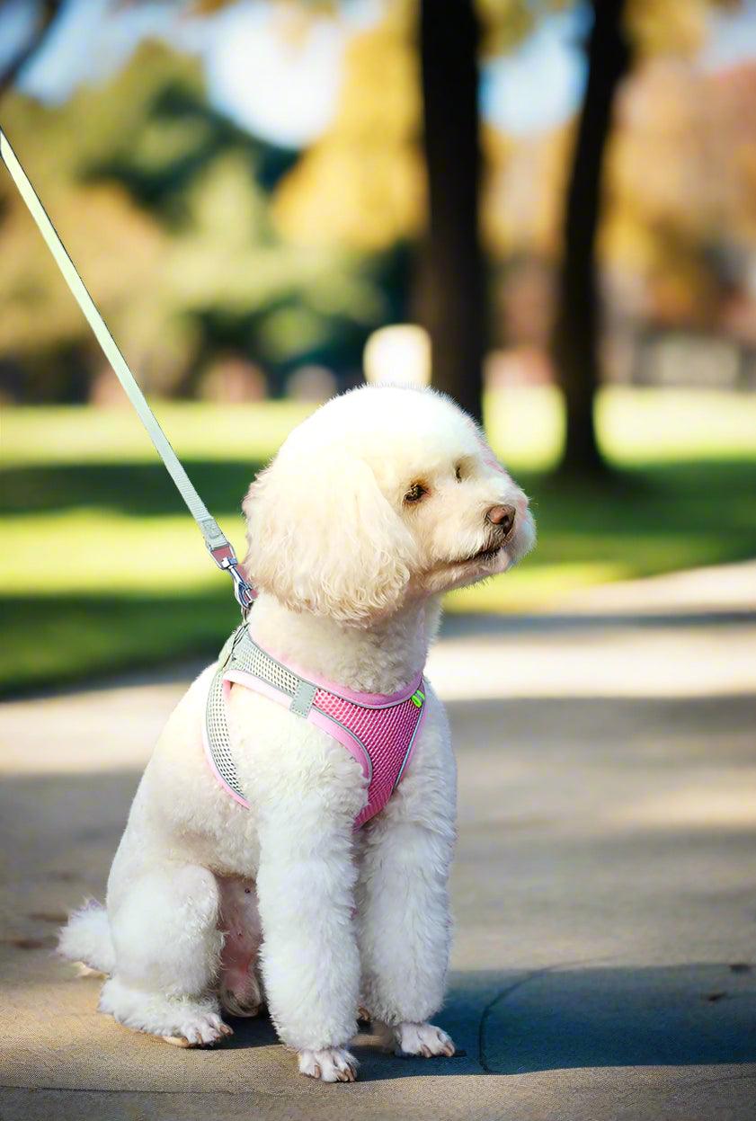 Adjustable Reflective Pet Harness for Outdoor Use with Breathable Collar and LeashDog HarnessBravo Pets