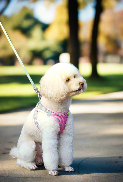 Adjustable Reflective Pet Harness for Outdoor Use with Breathable Collar and LeashDog HarnessBravo Pets