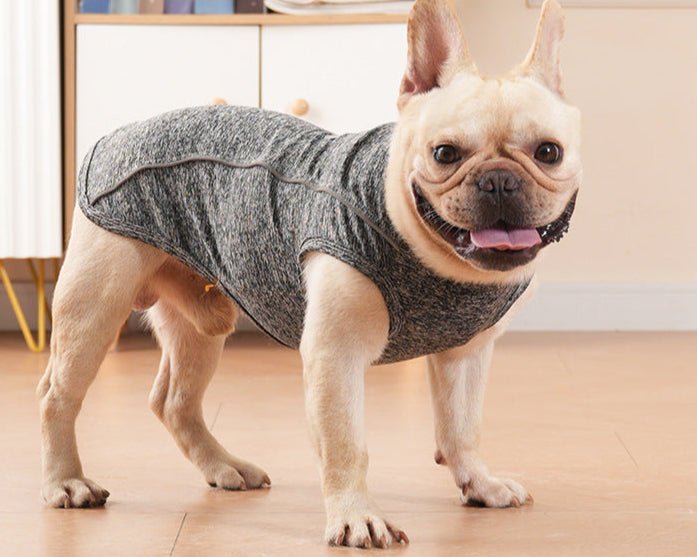 Trendy & Functional Breathable Dog T-Shirt with Reflective Paw Print & Traction BuckleDog ApparelBravo Pets