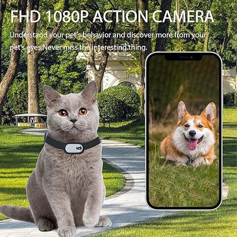 Mini HD 1080 Pet Camera with Image StabilizationPet CameraBravo Pets