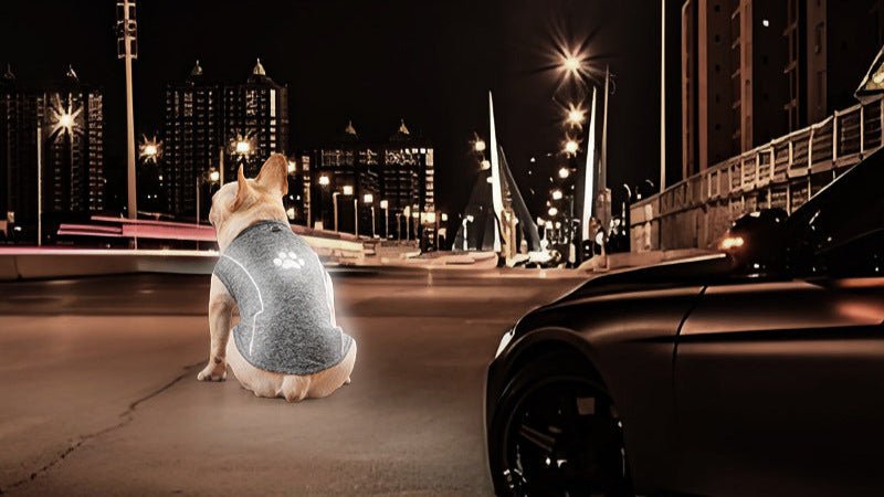 Trendy & Functional Breathable Dog T-Shirt with Reflective Paw Print & Traction BuckleDog ApparelBravo Pets