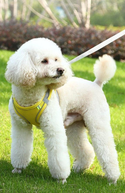 Adjustable Reflective Pet Harness for Outdoor Use with Breathable Collar and LeashDog HarnessBravo Pets