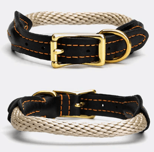 Premium Handmade Rolled Leather Dog Collar – Stylish & DurableDog CollarBravo Pets