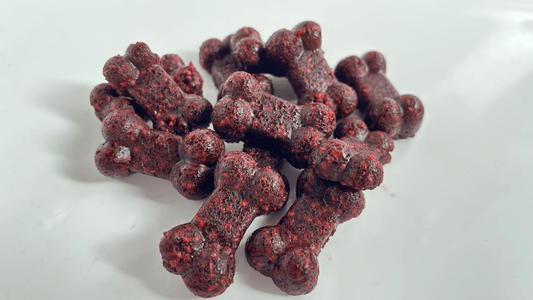Gourmet Beetroot & Chia DIY Gummies Mix - 30g - Includes Disposable Piping BagDog TreatsBravo Pets