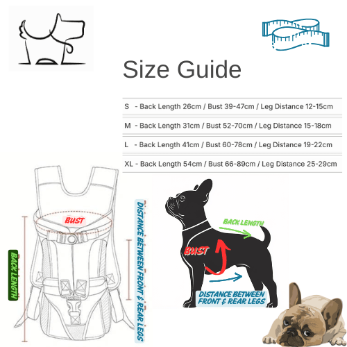 Ergonomic Pet Carrier Backpack – Comfortable & Secure for Small to Medium DogsDog BackPackBravo Pets