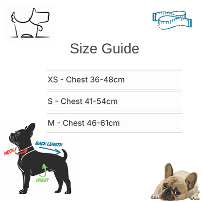 Luxury Teddy Fleece Dog Harness, Leash & Poop Bag Holder Set – Soft, Stylish & FunctionalDog CollarBravo Pets