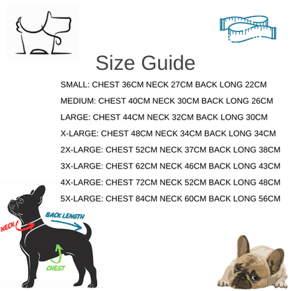 Sky Blue Sport Waterproof Winter Jacket with Built - In Harness – Warm, Windproof & Secure for Cold Weather WalksDog HarnessBravo Pets