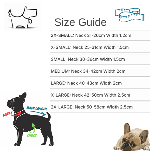 Premium Handmade Rolled Leather Dog Collar – Stylish & DurableDog CollarBravo Pets