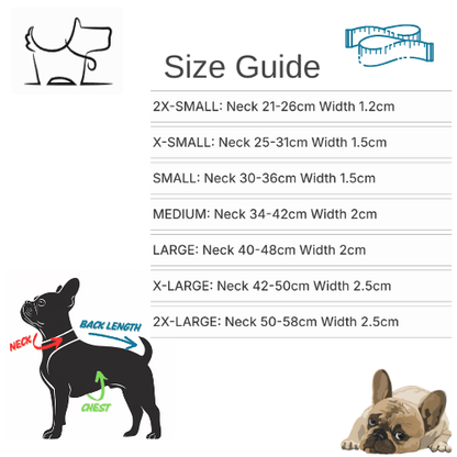 Premium Handmade Rolled Leather Dog Collar – Stylish & DurableDog CollarBravo Pets