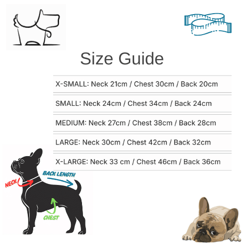 Dog Activewear Velvet Sports and Leisure for SMALL DogsDog FashionBravo Pets