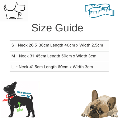 Premium Pet Collar with Apple AirTag Holder – Stylish & Secure TrackingDog CollarBravo Pets