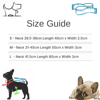 Premium Pet Collar with Apple AirTag Holder – Stylish & Secure TrackingDog CollarBravo Pets