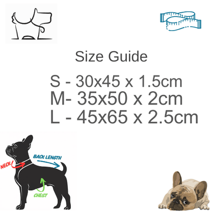 Faux Leather Premium Padded Dog Collar With Stitch DetailsDog CollarBravo Pets