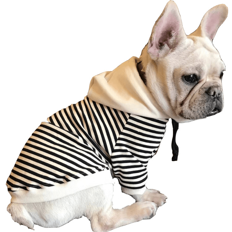 Matching Striped Hoodie Set for You & Your Dog – Stylish & ComfortableDog FashionBravo Pets