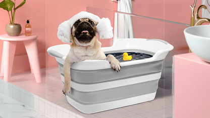 Collapsible Pet Bathtub with Water Drain PlugCollapsible Pet BathtubBravo Pets
