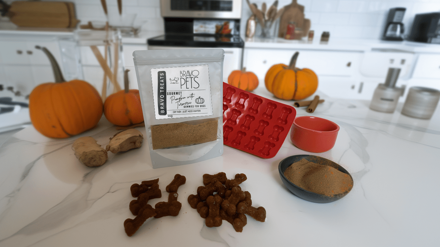 Gourmet Pumpkin with Tumeric DIY Gummies Mix - 30g - Includes Disposable Piping BagDog TreatsBravo Pets