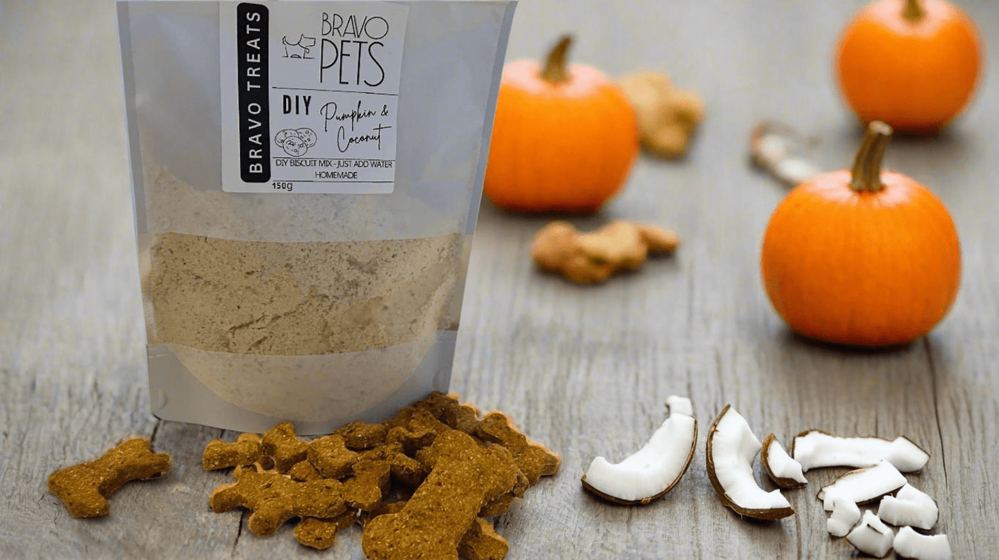 Gourmet Pumpkin and Coconut DIY Dog Biscuit Treat Mix - 150gDog TreatsBravo Pets