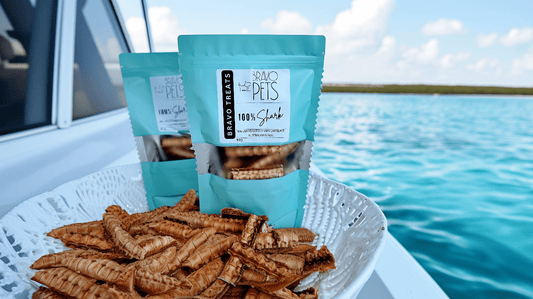 100% Dehydrated Shark Cartilage – Healthy, High - Protein Snack! 80gDog TreatsBravo Pets