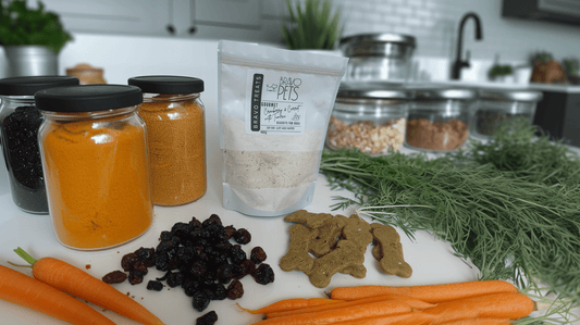 Gourmet Cranberry and Carrot with Turmeric DIY Dog Biscuit Treat Mix - 180gDog TreatsBravo Pets