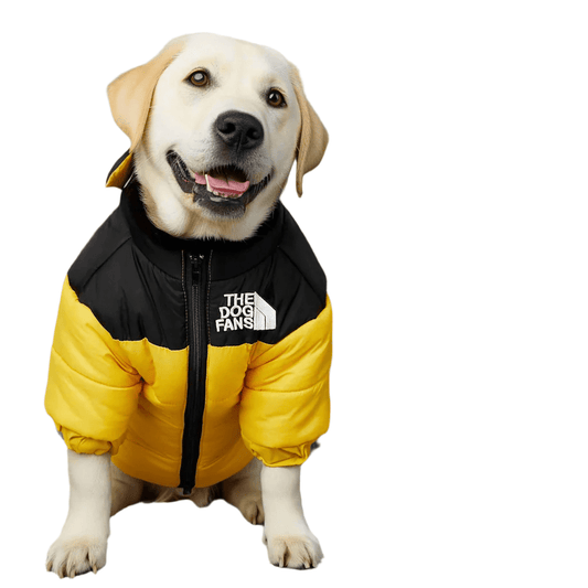 Super Stylish Dog Coat with Warm Fleece Lining – Ultimate Comfort for Your Pet!Dog ApparelBravo Pets